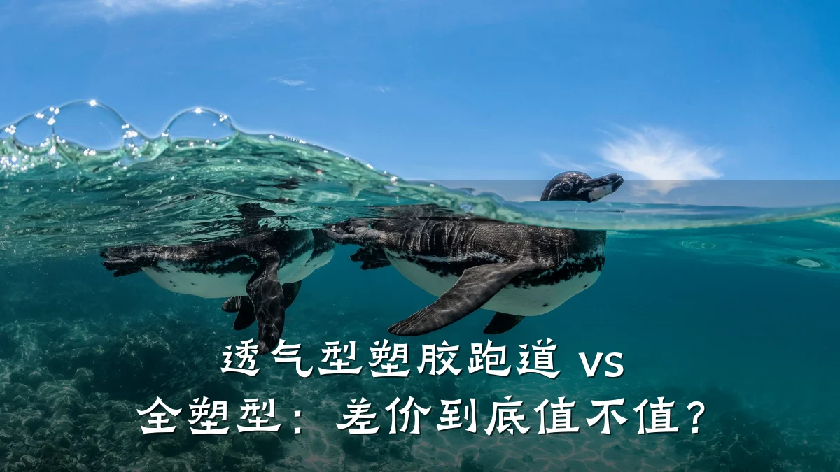 透气型塑胶跑道 vs 全塑型:差价到底值不值?