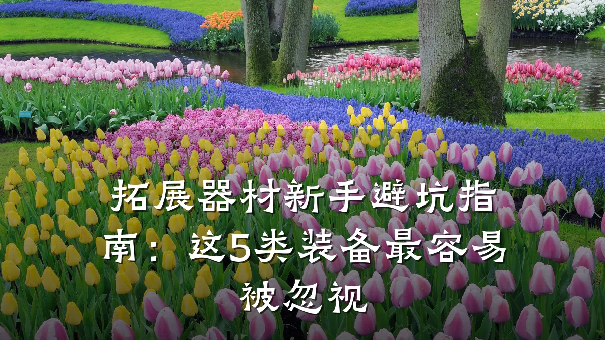拓展器材新手避坑指南:这5类装备最容易被忽视
