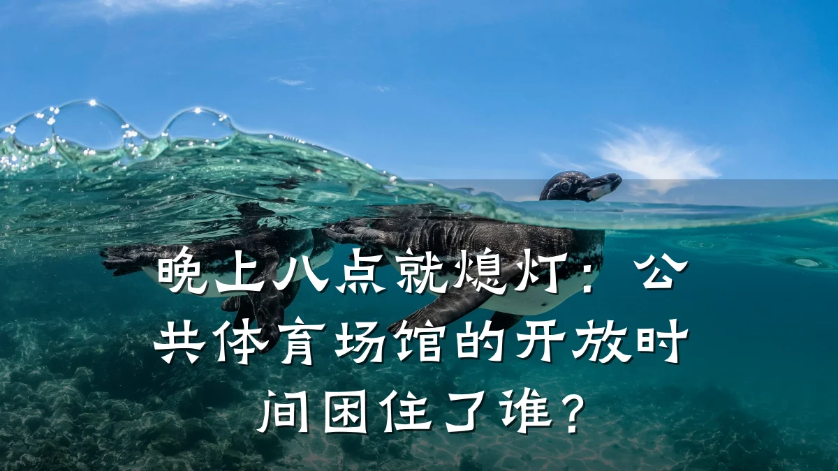 晚上八点就熄灯:公共体育场馆的开放时间困住了谁?