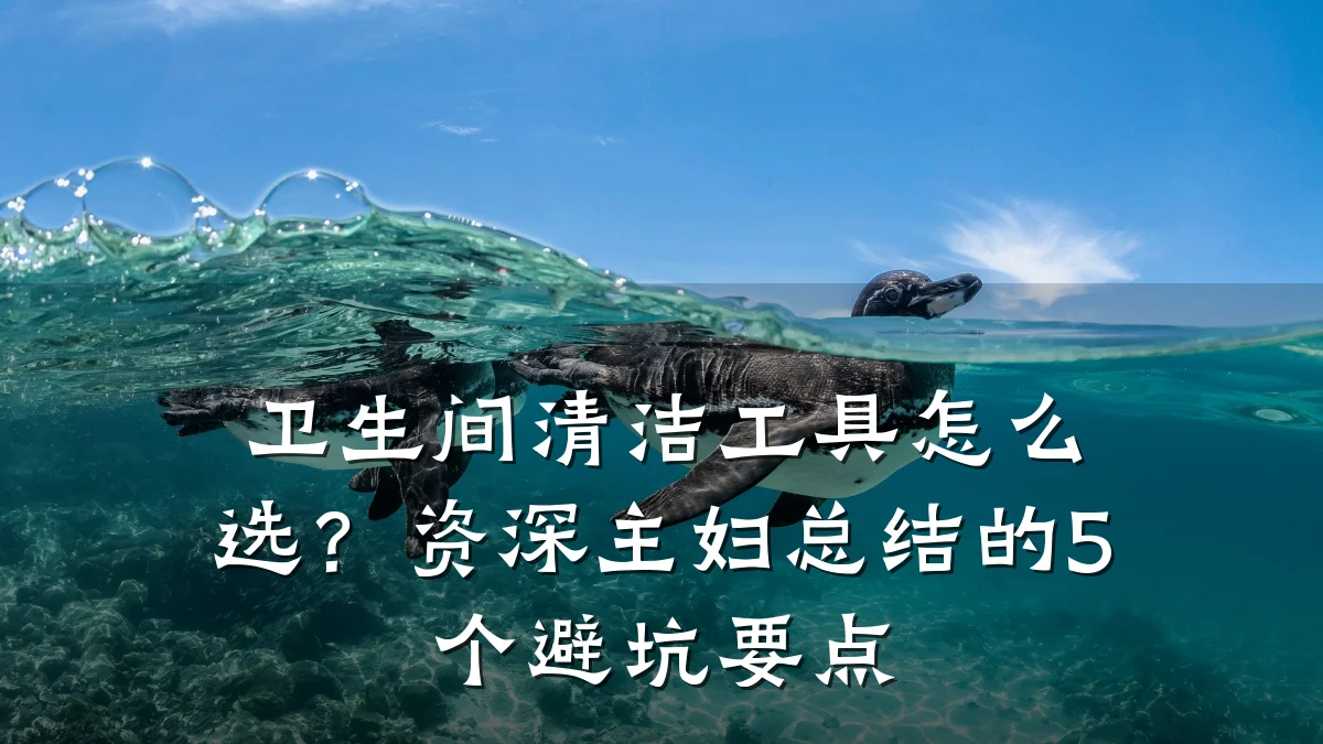 卫生间清洁工具怎么选?资深主妇总结的5个避坑要点