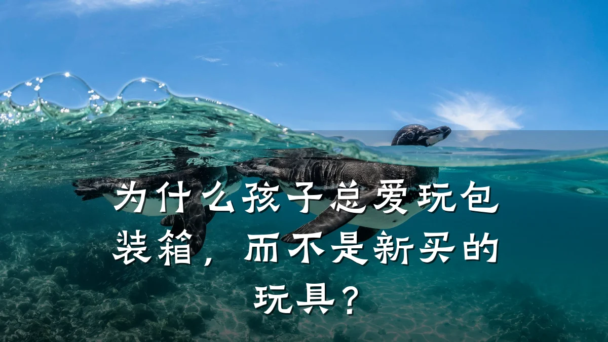 为什么孩子总爱玩包装箱,而不是新买的玩具?