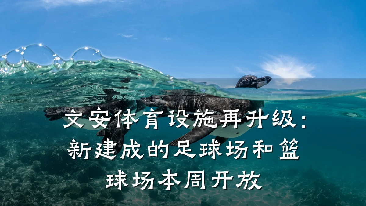文安体育设施再升级:新建成的足球场和篮球场本周开放