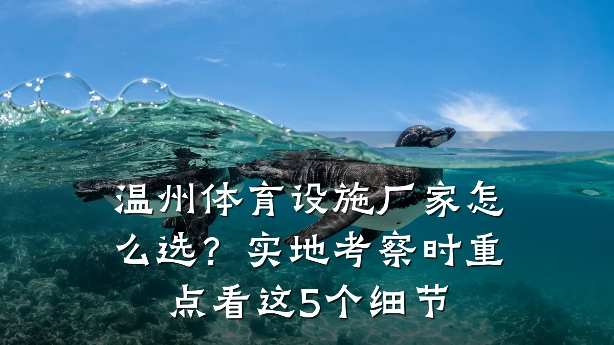 温州体育设施厂家怎么选?实地考察时重点看这5个细节