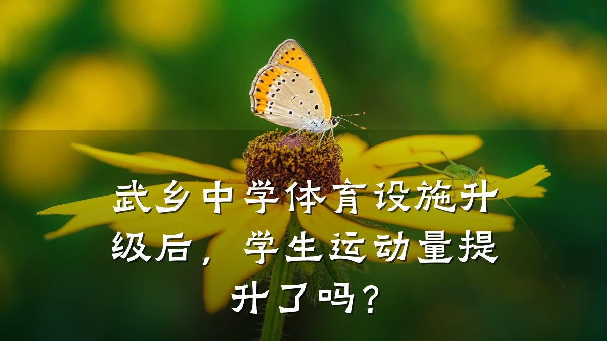 武乡中学体育设施升级后,学生运动量提升了吗?