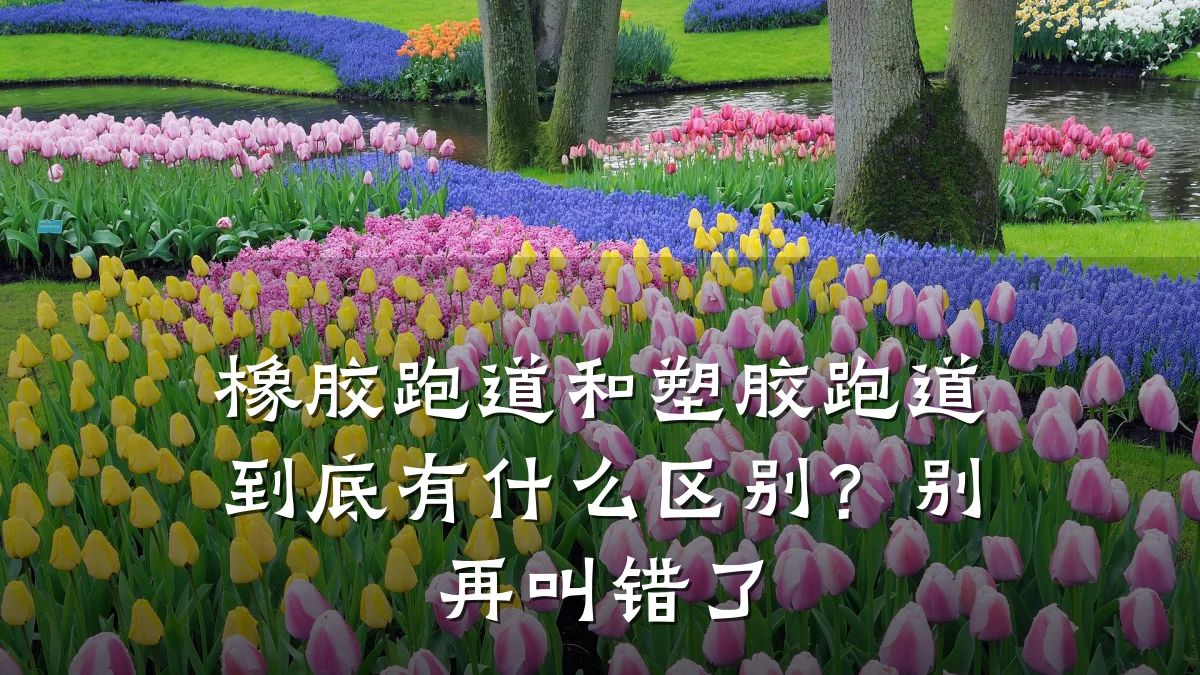 橡胶跑道和塑胶跑道到底有什么区别?别再叫错了