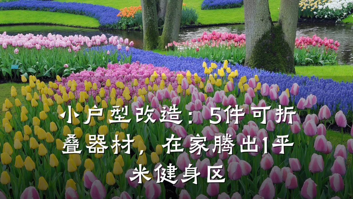 小户型改造:5件可折叠器材,在家腾出1平米健身区