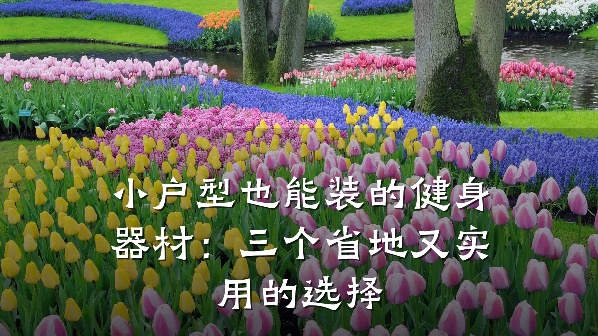 小户型也能装的健身器材:三个省地又实用的选择