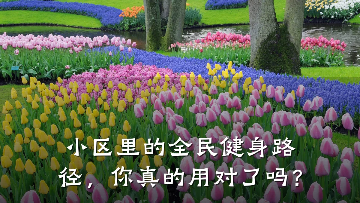 小区里的全民健身路径,你真的用对了吗?