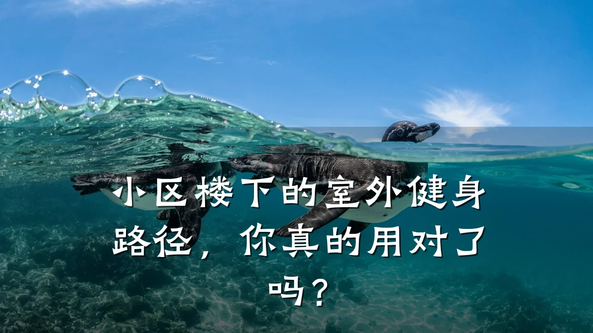 小区楼下的室外健身路径,你真的用对了吗?