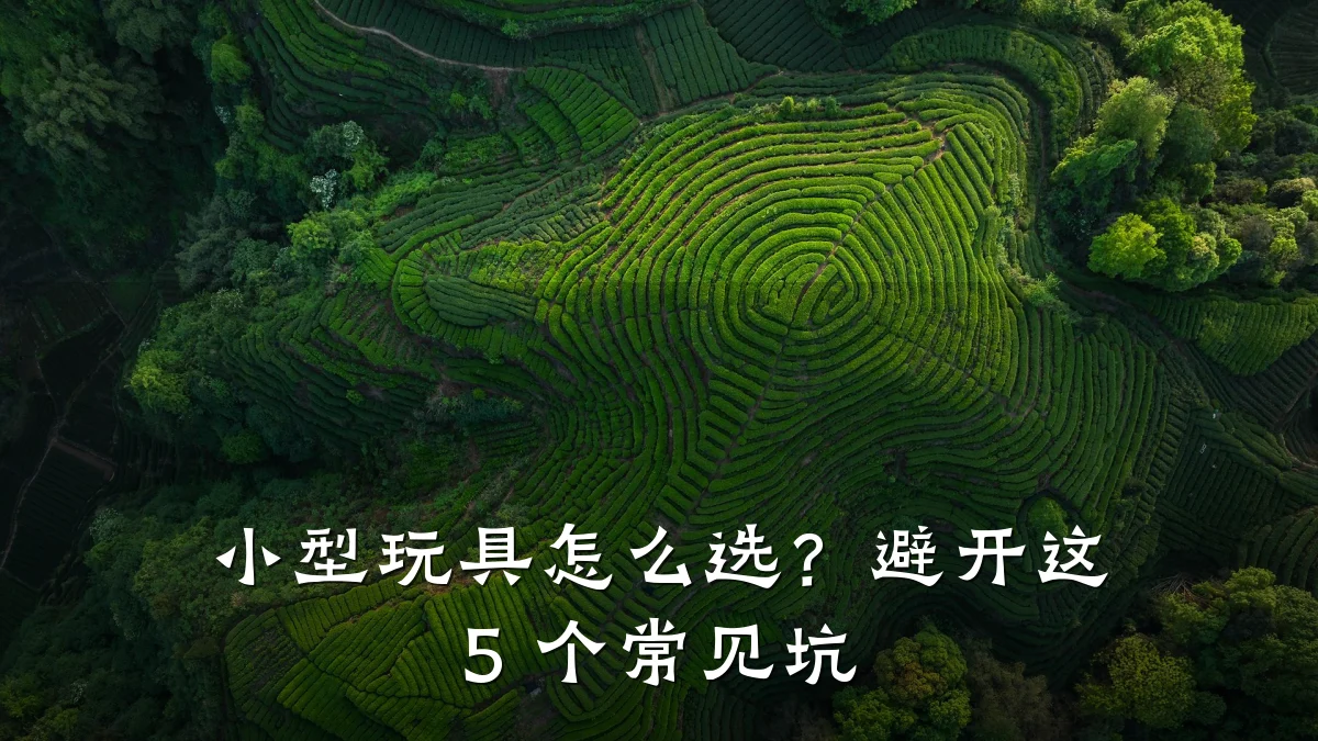小型玩具怎么选?避开这 5 个常见坑