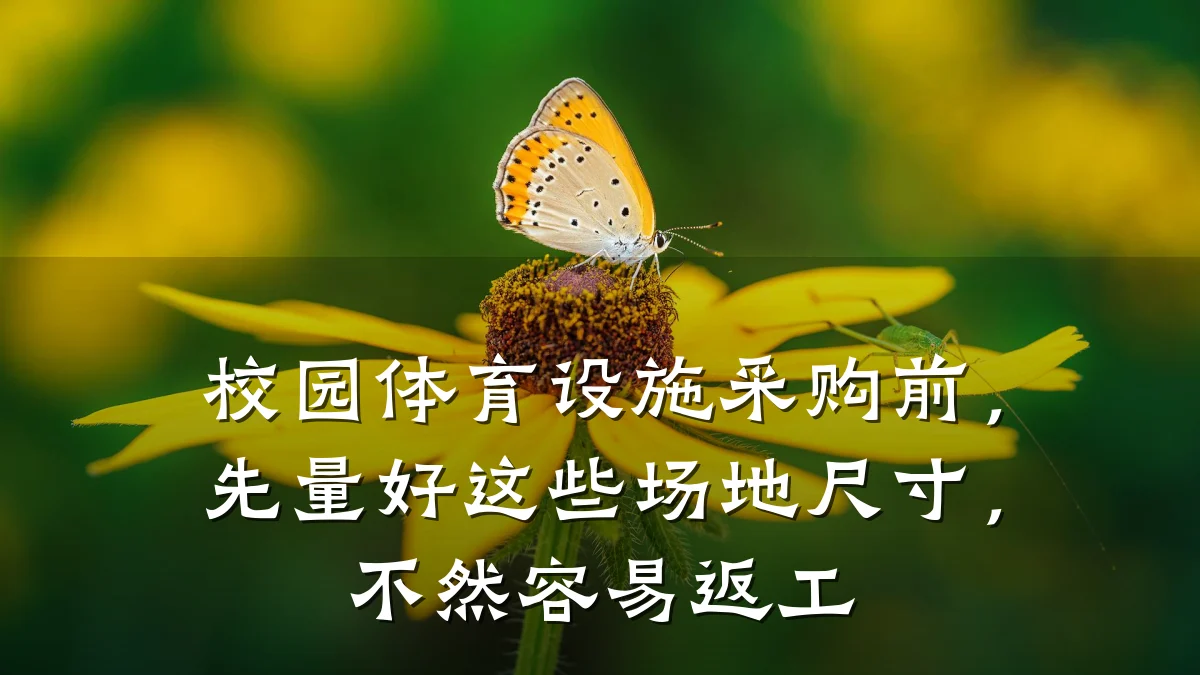 校园体育设施采购前,先量好这些场地尺寸,不然容易返工