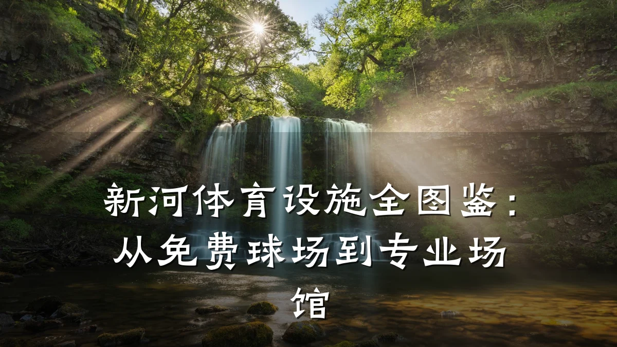 新河体育设施全图鉴:从免费球场到专业场馆
