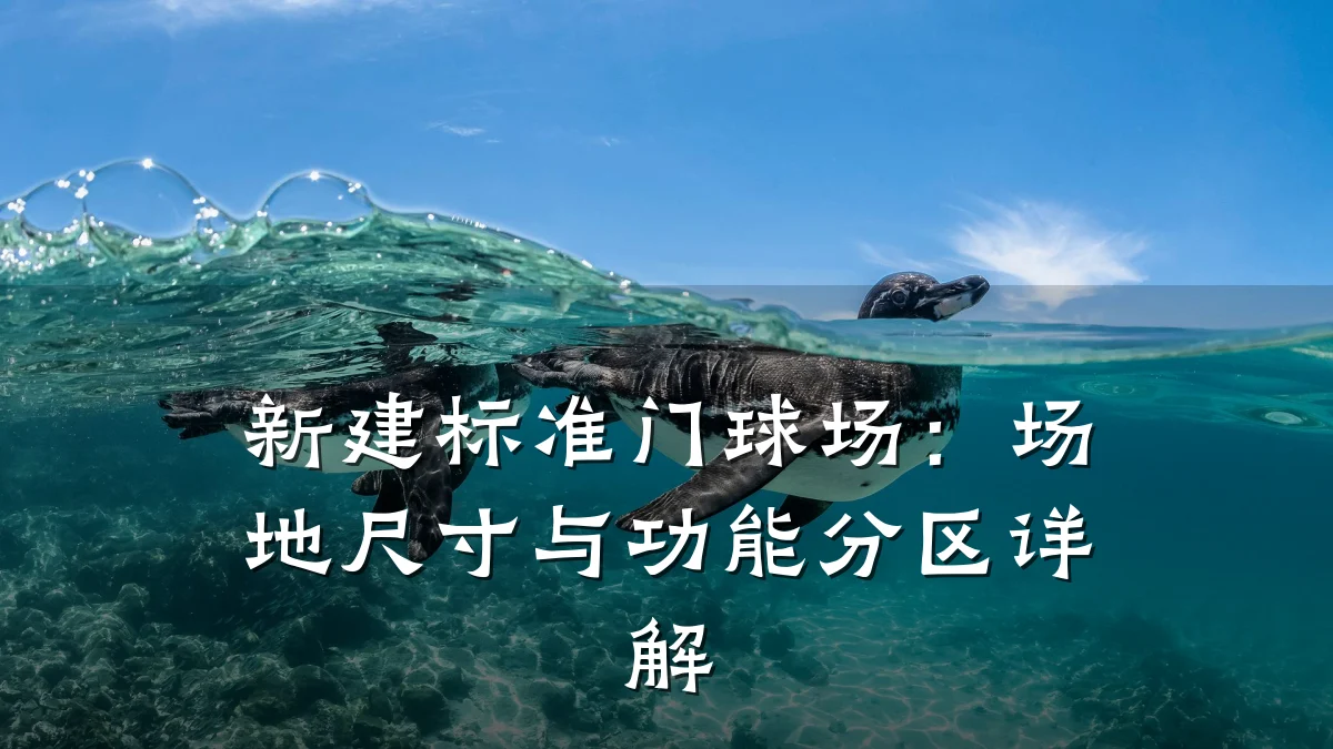 新建标准门球场：场地尺寸与功能分区详解
