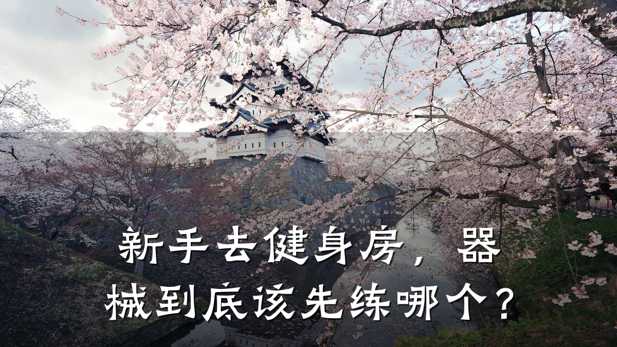 新手去健身房,器械到底该先练哪个?