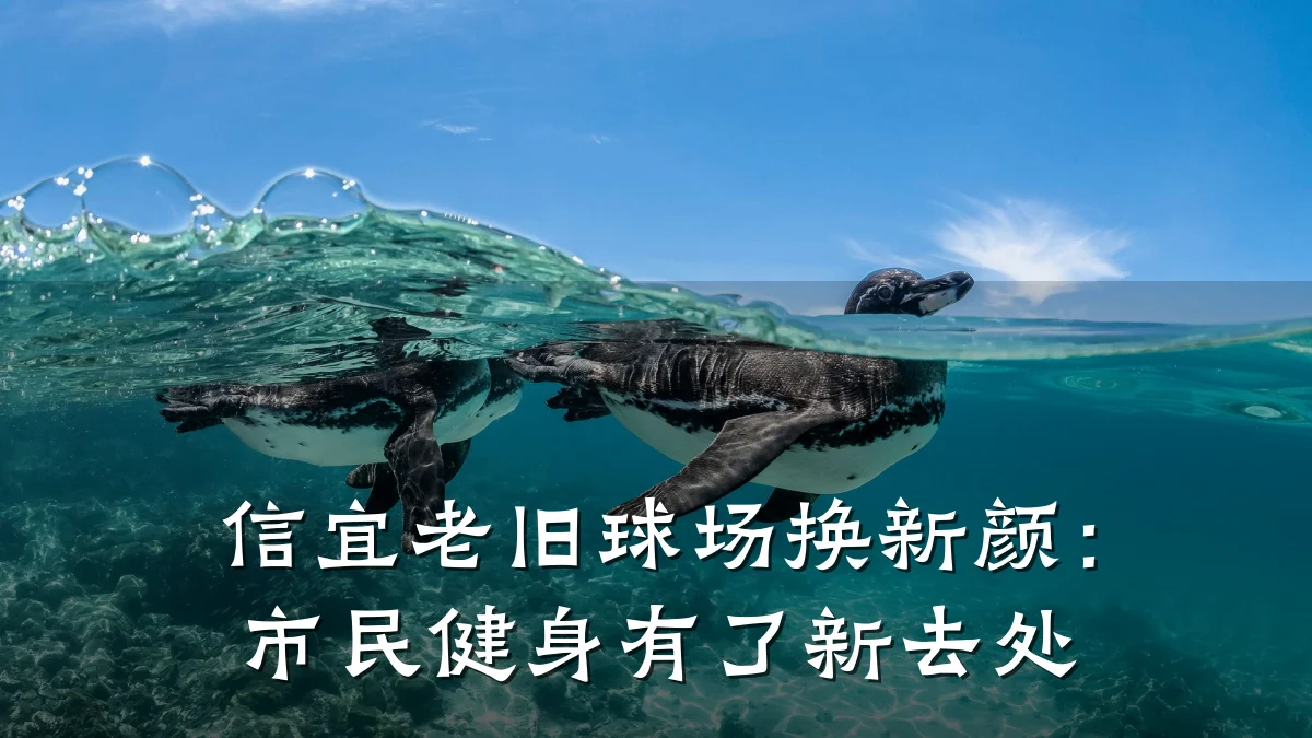 信宜老旧球场换新颜:市民健身有了新去处