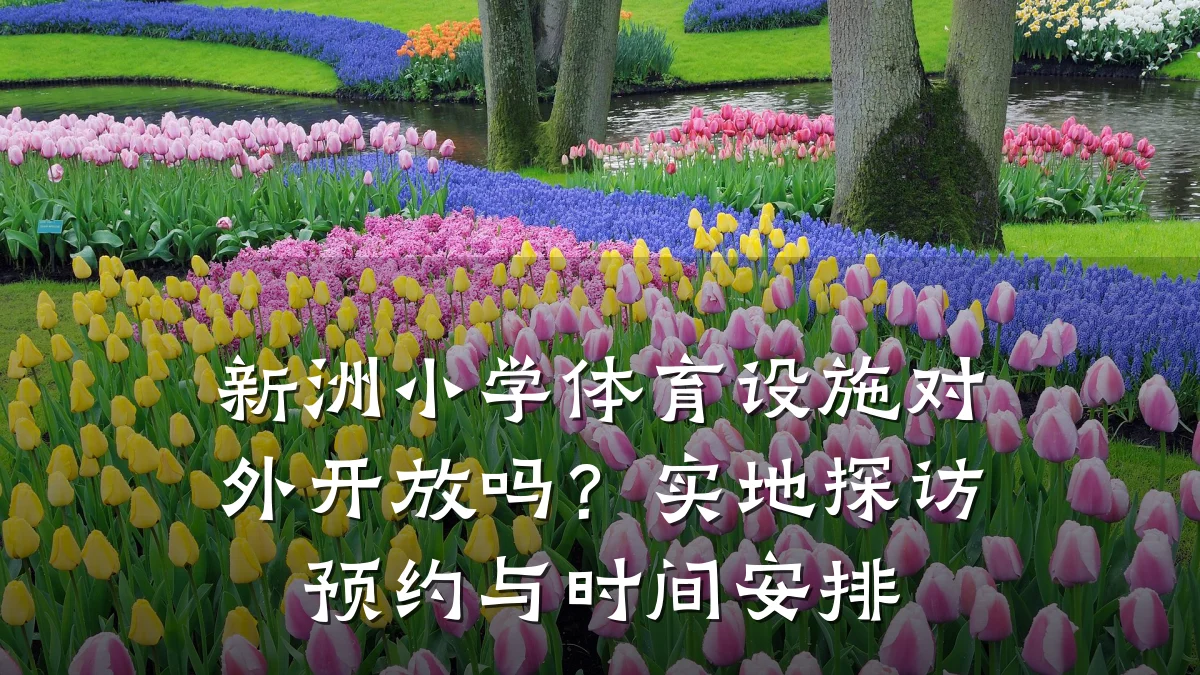 新洲小学体育设施对外开放吗?实地探访预约与时间安排