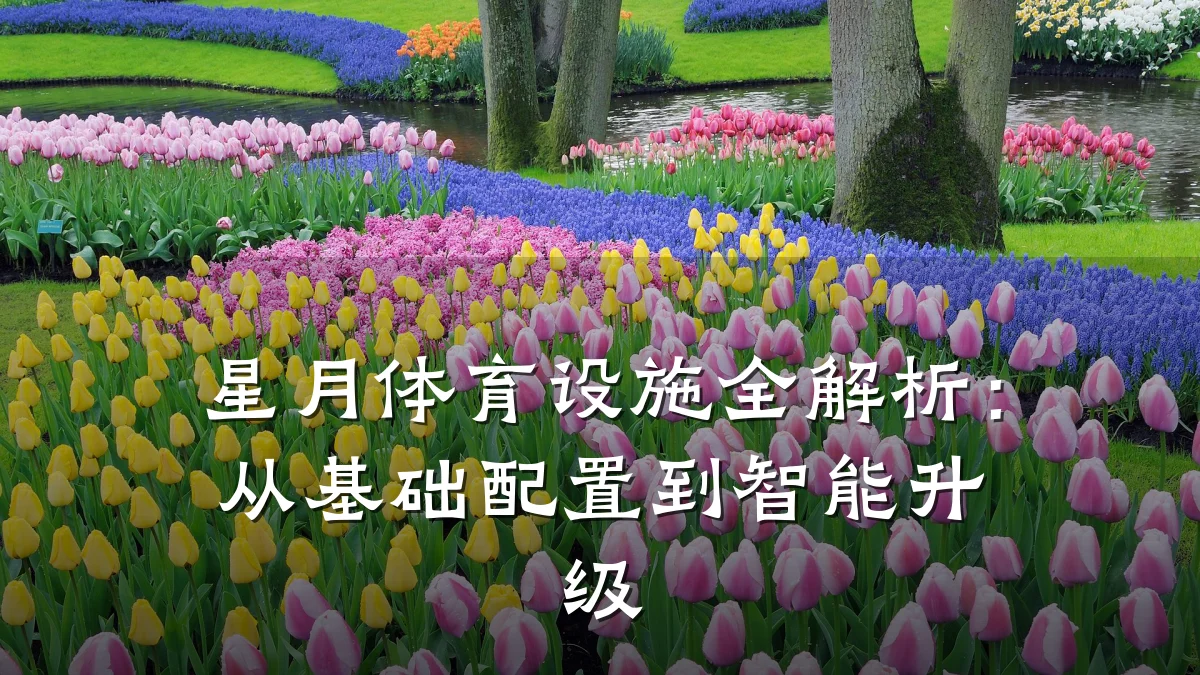 星月体育设施全解析:从基础配置到智能升级