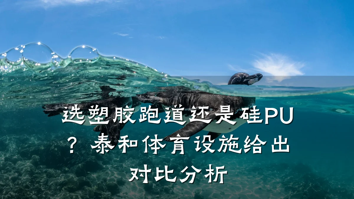 选塑胶跑道还是硅PU?泰和体育设施给出对比分析