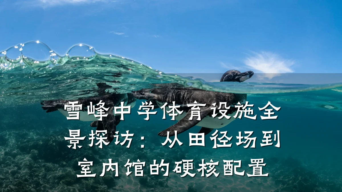 雪峰中学体育设施全景探访:从田径场到室内馆的硬核配置