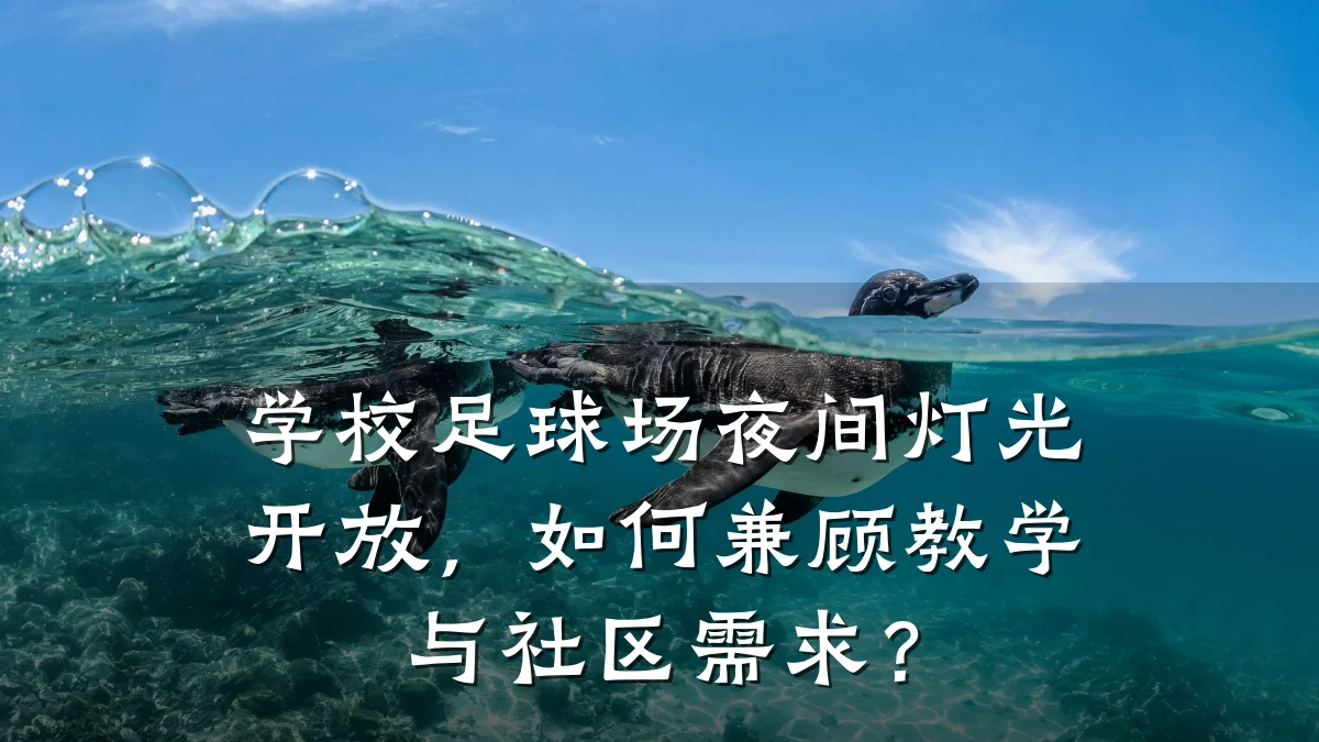 学校足球场夜间灯光开放,如何兼顾教学与社区需求?