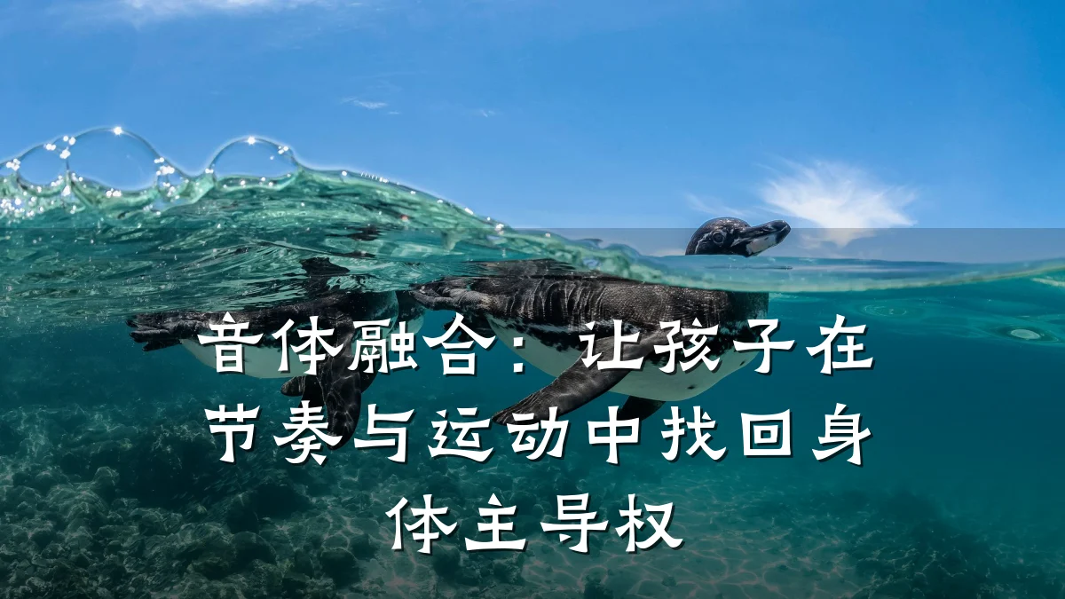 音体融合：让孩子在节奏与运动中找回身体主导权