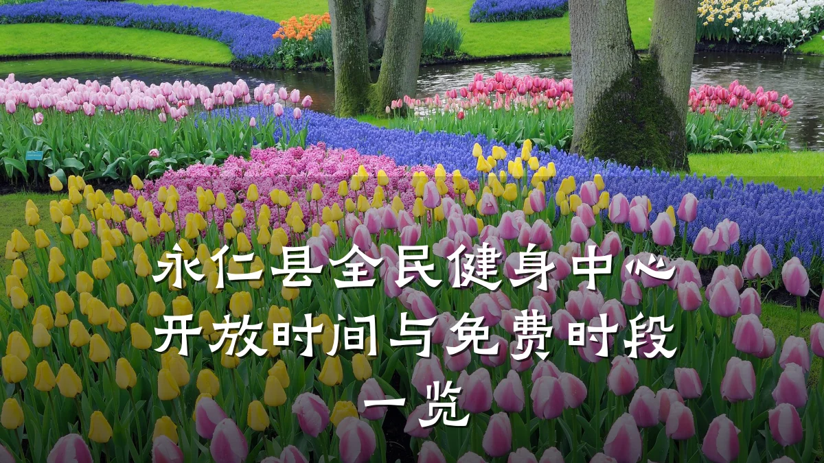 永仁县全民健身中心开放时间与免费时段一览