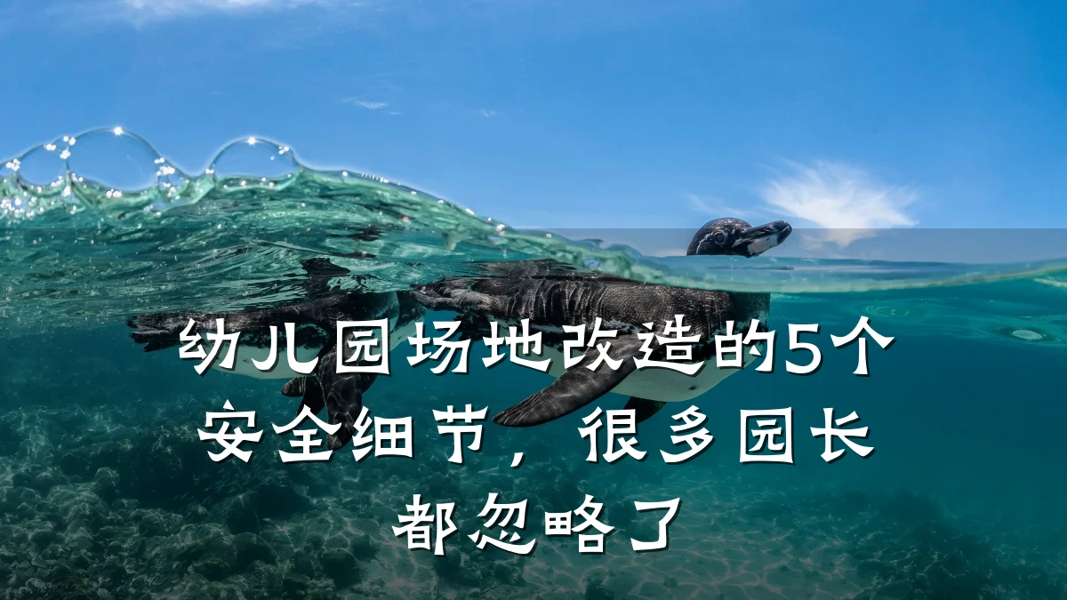 幼儿园场地改造的5个安全细节,很多园长都忽略了