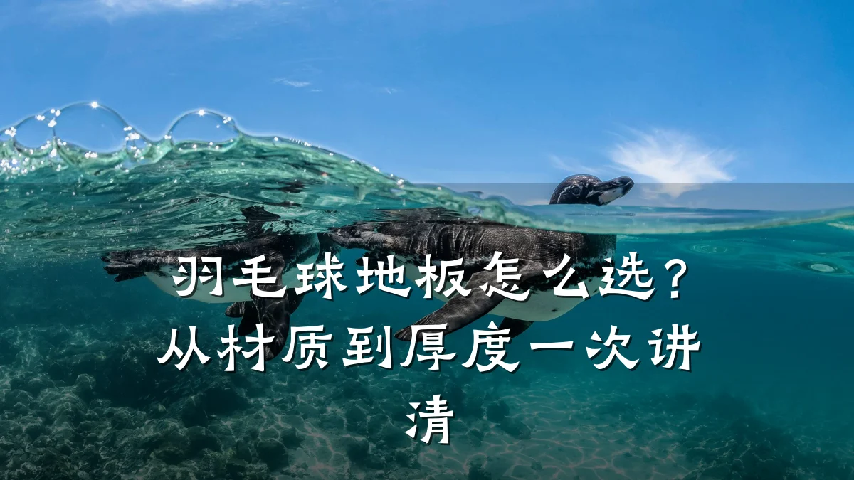 羽毛球地板怎么选?从材质到厚度一次讲清
