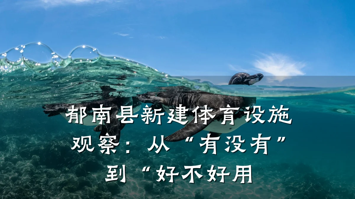 郁南县新建体育设施观察:从“有没有”到“好不好用