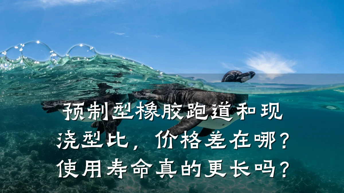 预制型橡胶跑道和现浇型比,价格差在哪?使用寿命真的更长吗?