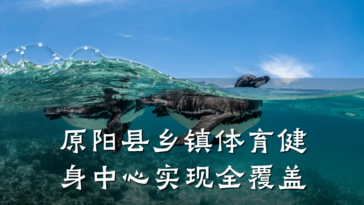 原阳县乡镇体育健身中心实现全覆盖