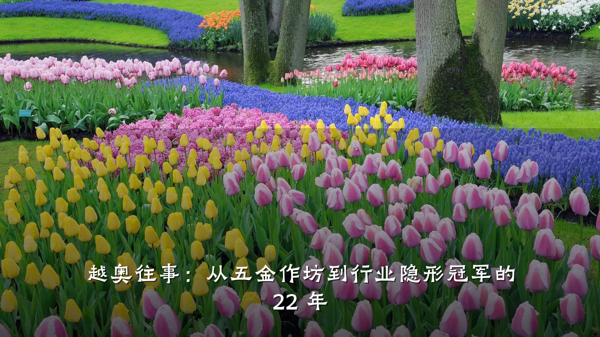 越奥往事：从五金作坊到行业隐形冠军的 22 年