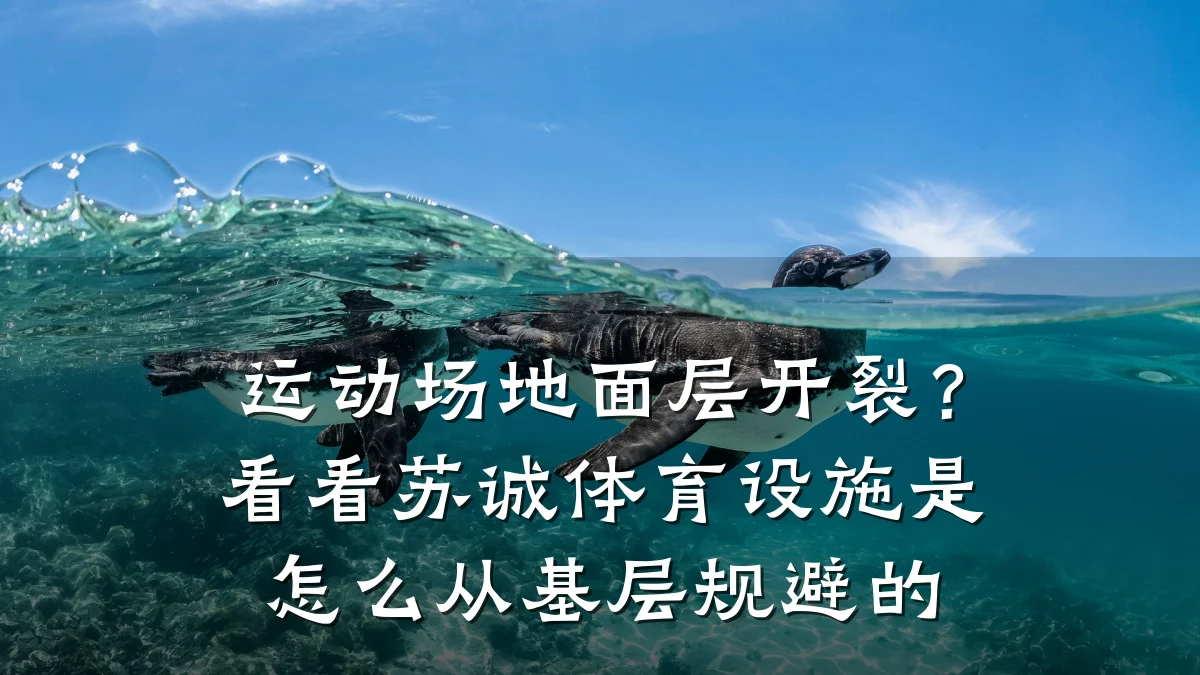 运动场地面层开裂?看看苏诚体育设施是怎么从基层规避的