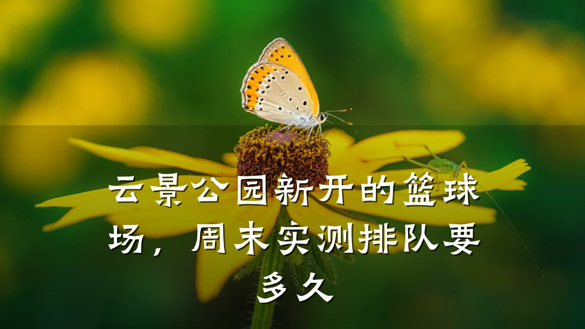 云景公园新开的篮球场，周末实测排队要多久