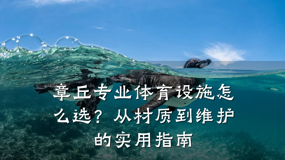 章丘专业体育设施怎么选?从材质到维护的实用指南