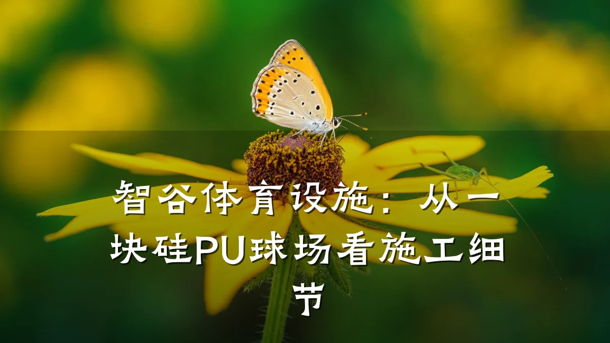 智谷体育设施：从一块硅PU球场看施工细节