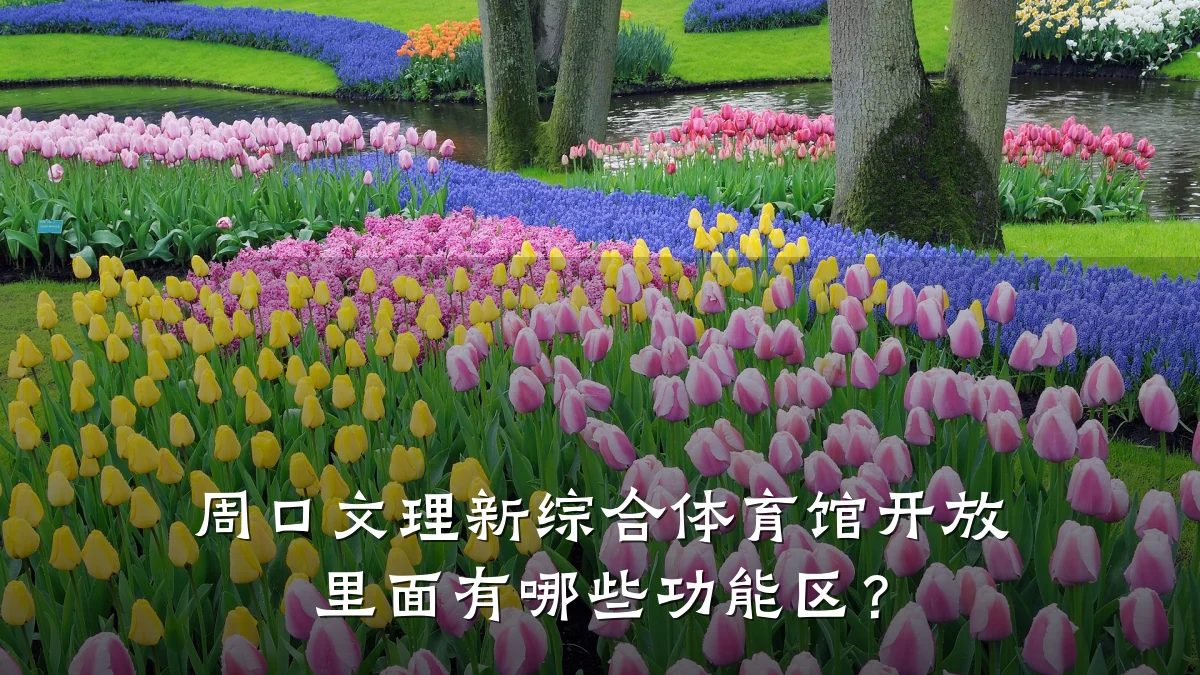 周口文理新综合体育馆开放 里面有哪些功能区？