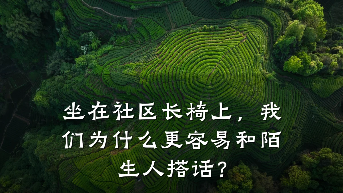 坐在社区长椅上,我们为什么更容易和陌生人搭话?
