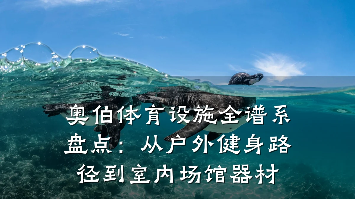 奥伯体育设施全谱系盘点:从户外健身路径到室内场馆器材