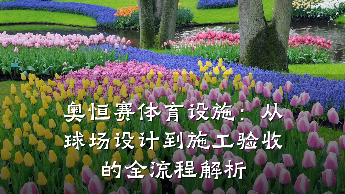 奥恒赛体育设施:从球场设计到施工验收的全流程解析