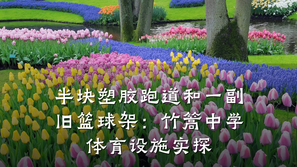 半块塑胶跑道和一副旧篮球架:竹篙中学体育设施实探