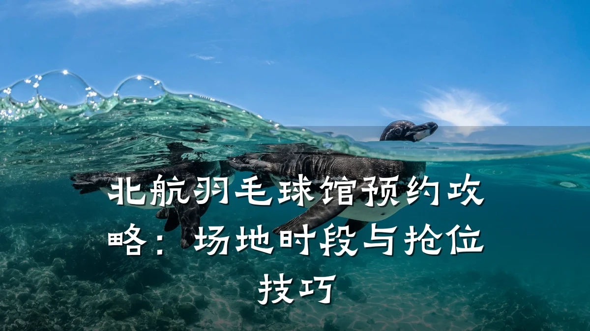 北航羽毛球馆预约攻略:场地时段与抢位技巧