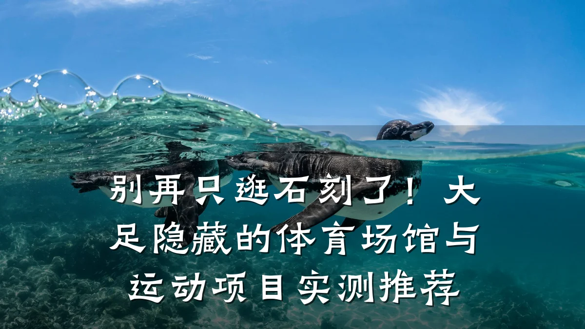 别再只逛石刻了！大足隐藏的体育场馆与运动项目实测推荐