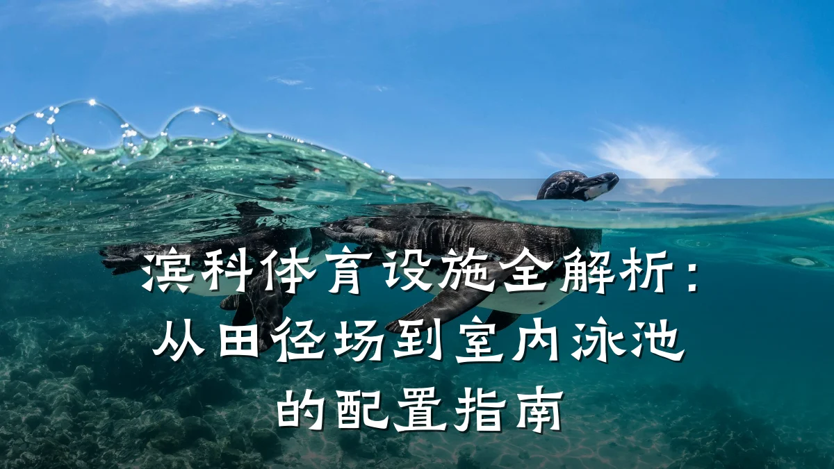 滨科体育设施全解析:从田径场到室内泳池的配置指南