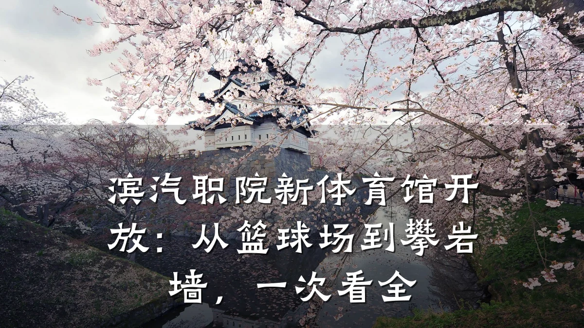 滨汽职院新体育馆开放:从篮球场到攀岩墙,一次看全
