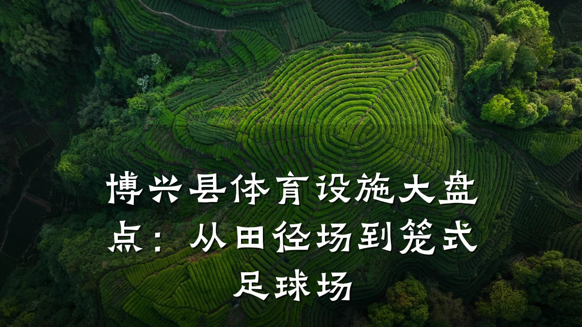 博兴县体育设施大盘点:从田径场到笼式足球场