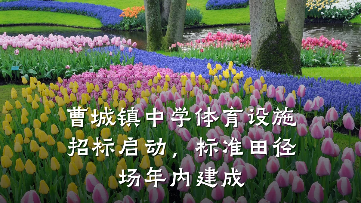 曹城镇中学体育设施招标启动,标准田径场年内建成