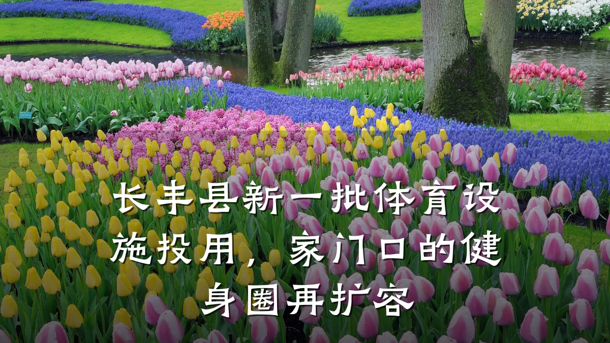 长丰县新一批体育设施投用，家门口的健身圈再扩容
