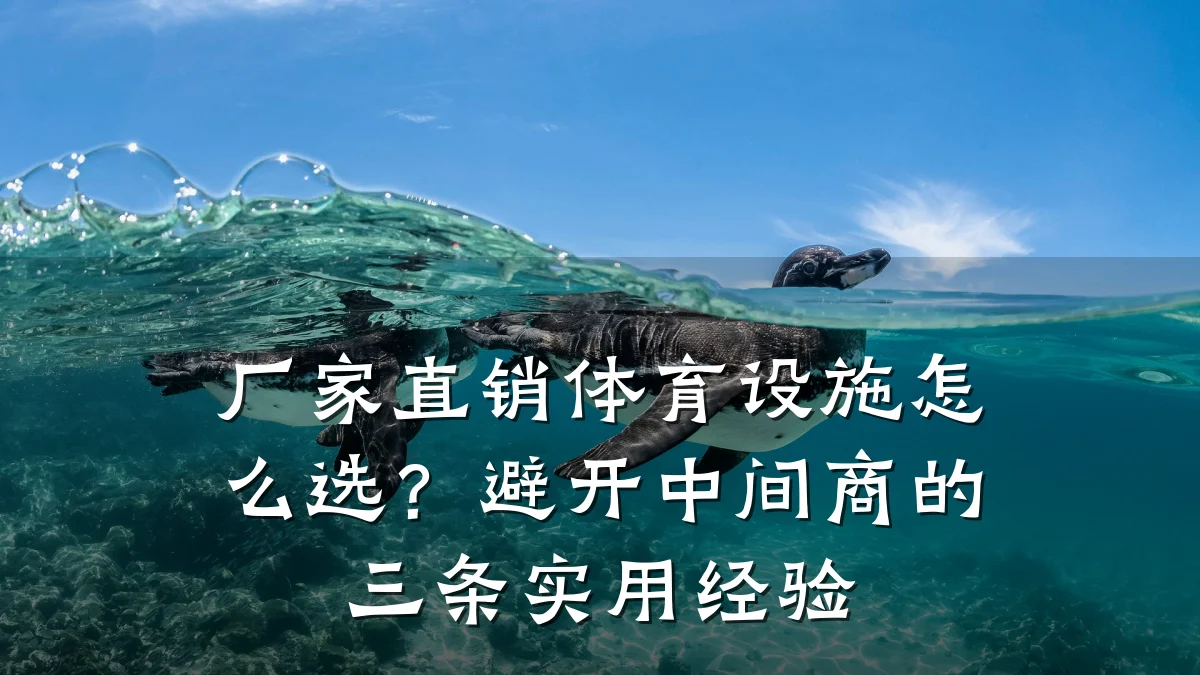 厂家直销体育设施怎么选?避开中间商的三条实用经验