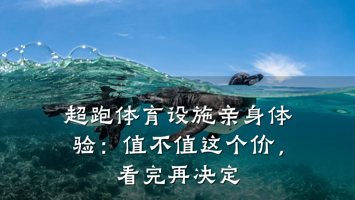 超跑体育设施亲身体验:值不值这个价,看完再决定